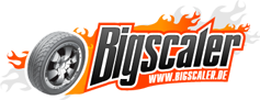 Logo Bigscaler